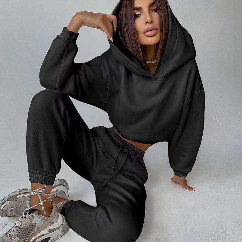 Wholesale Custom Logo Fashion Womens 2 Piece Crop Top Sweatpants and Hoodies Set - Obrázek 3